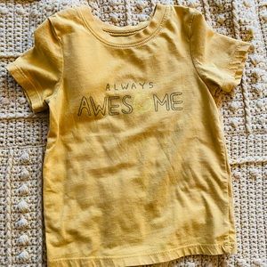 Lot of toddler boy summer clothing - 2T size